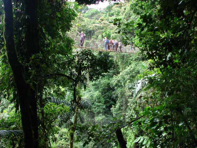 Коста-Рика отзыв о путешествии