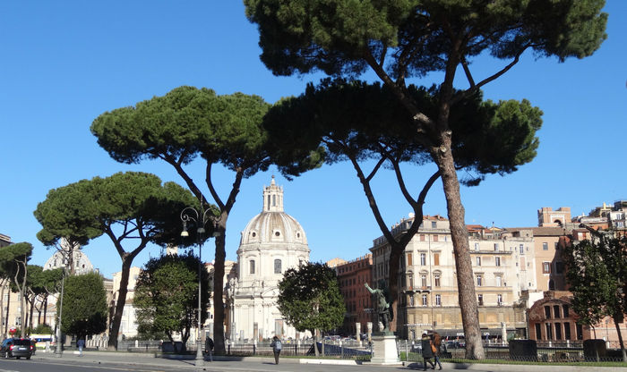 Неделя в Риме отзыв о путешествии