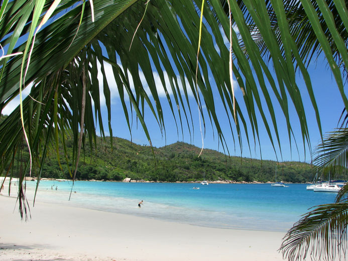 Сейшельские Острова отзыв о путешествии