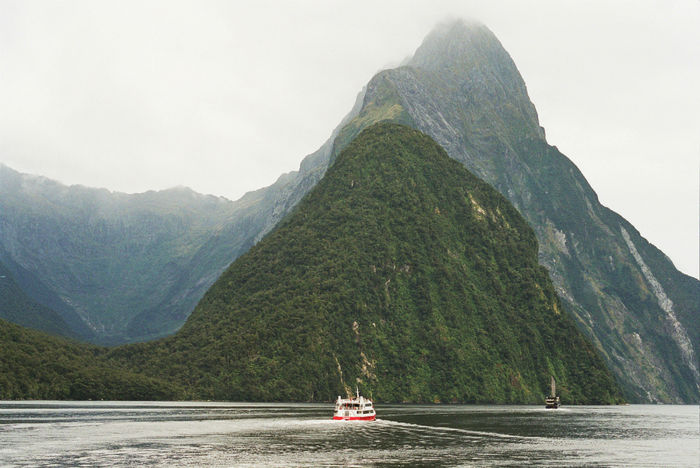 Новая Зеландия отзыв о путешествии