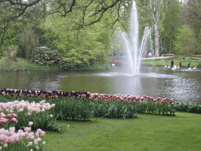 Нидерланды Голландия парк Кёйкенхоф отзыв о поездке