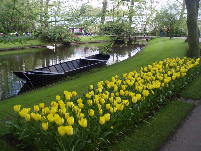 Нидерланды Голландия парк Кёйкенхоф отзыв о поездке