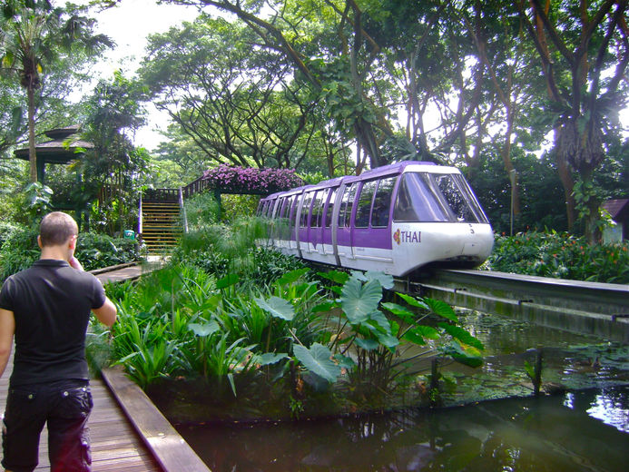 Зоопарк в Сингапуре отзыв о поездке
