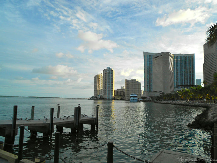 США Майами отзыв о поездке в Downtown