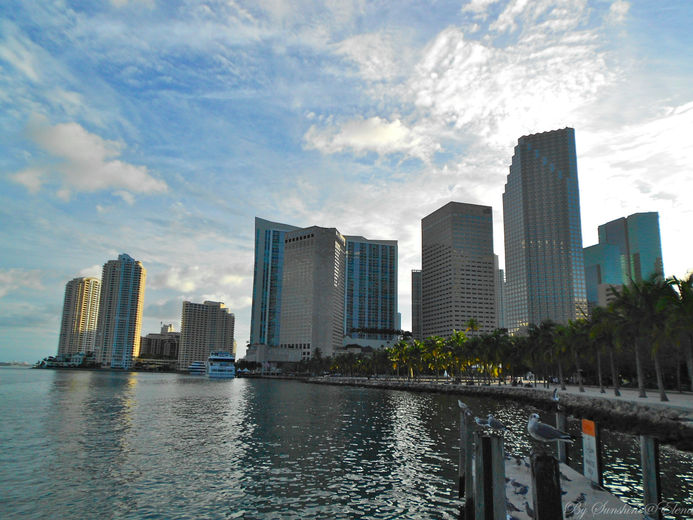 США Майами отзыв о поездке в Downtown
