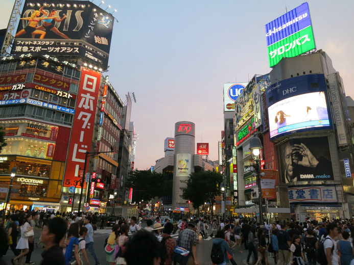 Япония Токио  отзыв о поездке