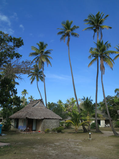 Фиджи отзыв о путешествии