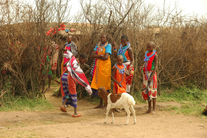 Кения отзыв о поездке в заповедник Масаи-мара