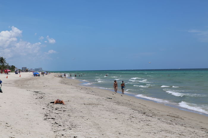 Штат Флорида: Ормонд-бич и Майами - отзыв о поездке
